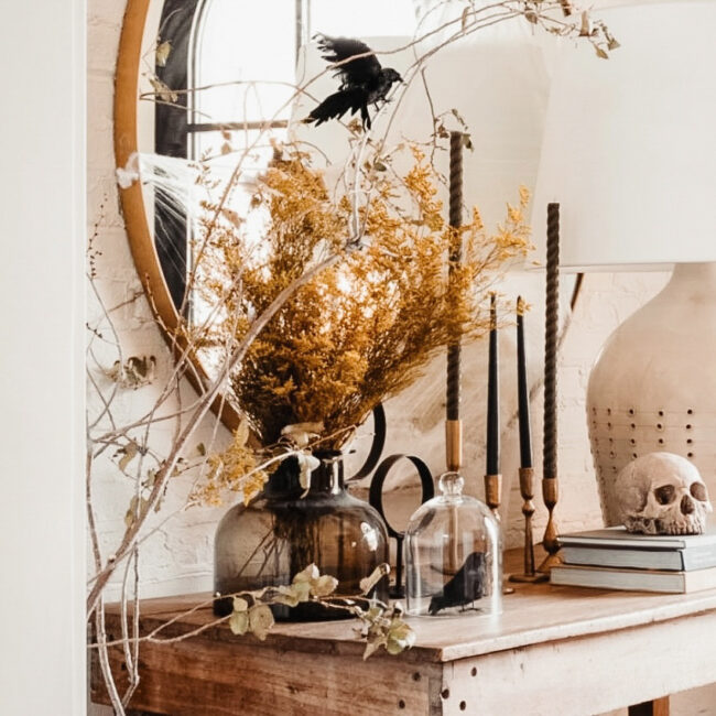 decoration interieur halloween bougies noires crane squelette corbeau sous cloche branchages à Toulouse