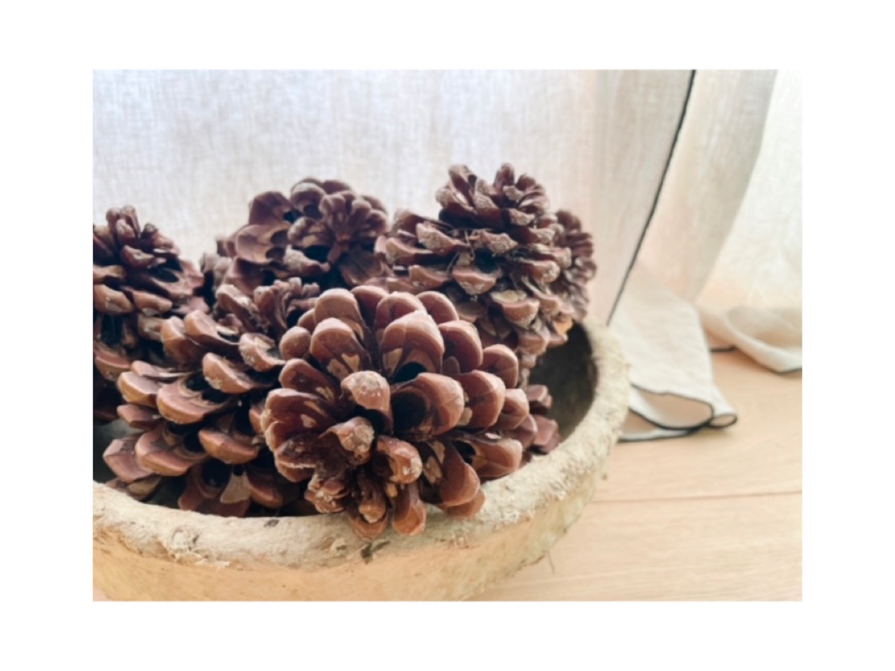 bol en papier maché recyclé avec pommes de pin naturelles